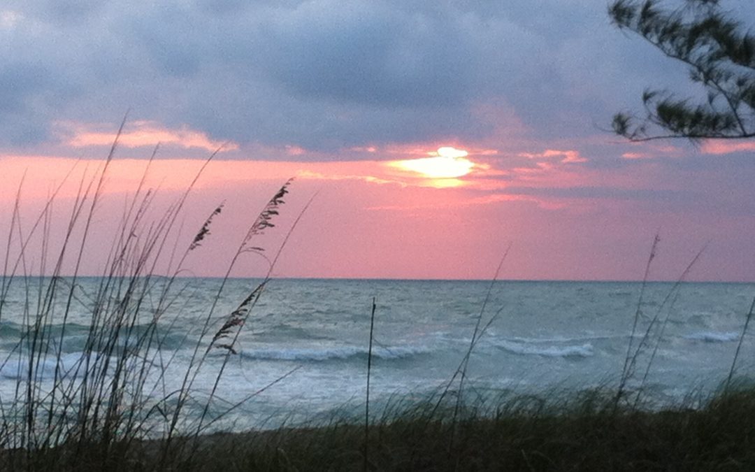 catching moments: sunsets