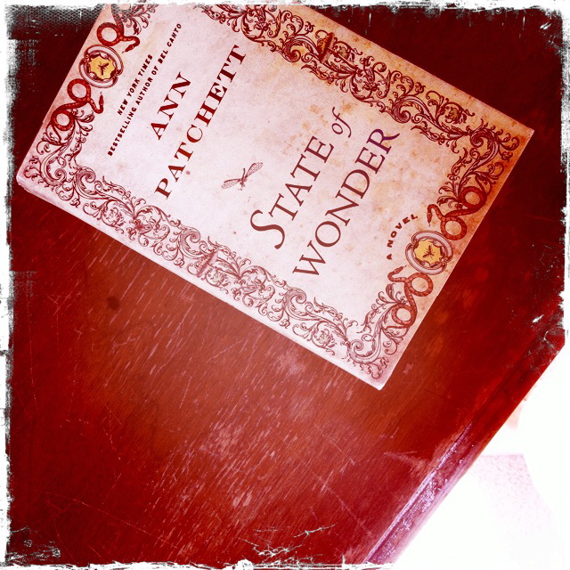 my writing notebook: state of wonder