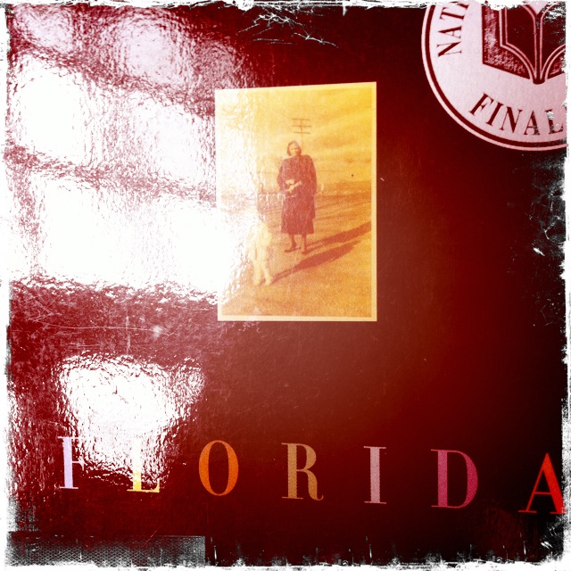 my writing notebook: florida