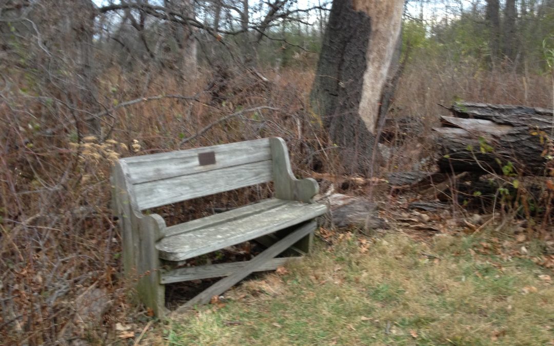 ragdale: parting shots