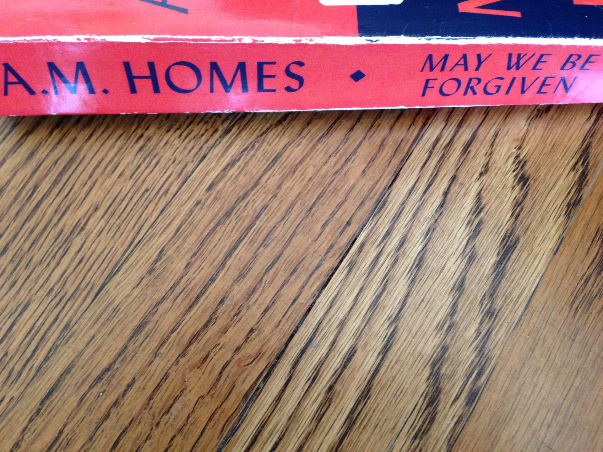 may we be forgiven spine