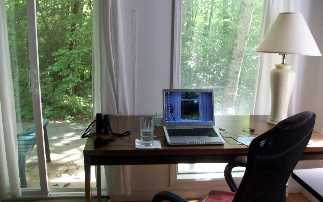 How We Spend Our Days: Sheri Joseph