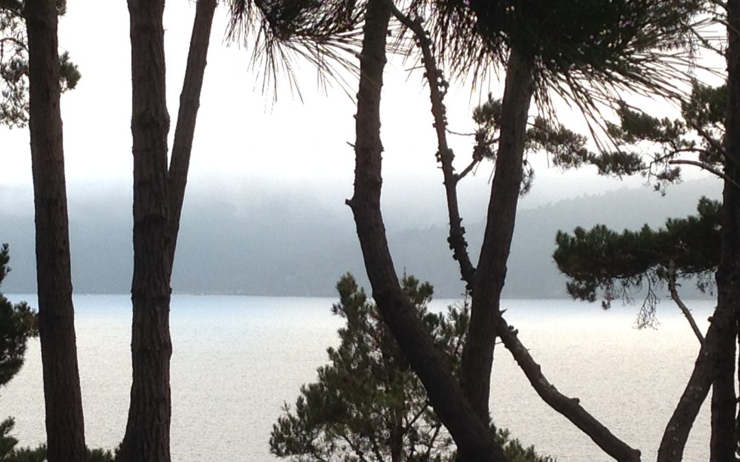 wxw: tomales bay