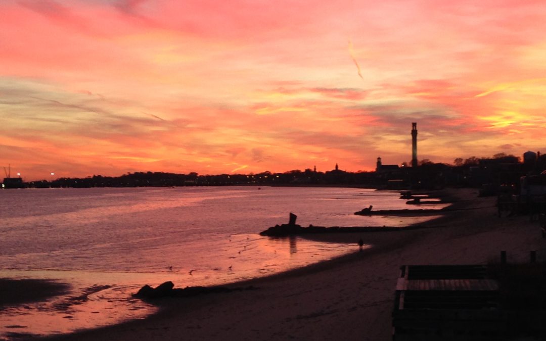 a year in provincetown