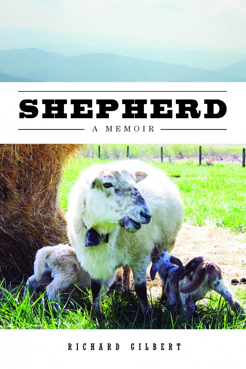 shepherd-803x1204