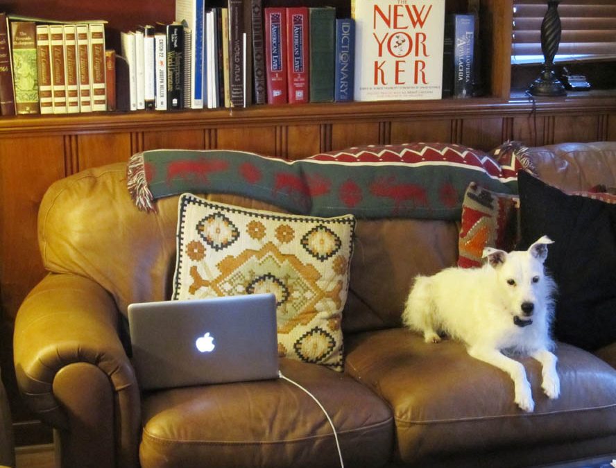 How We Spend Our Days: Richard Gilbert