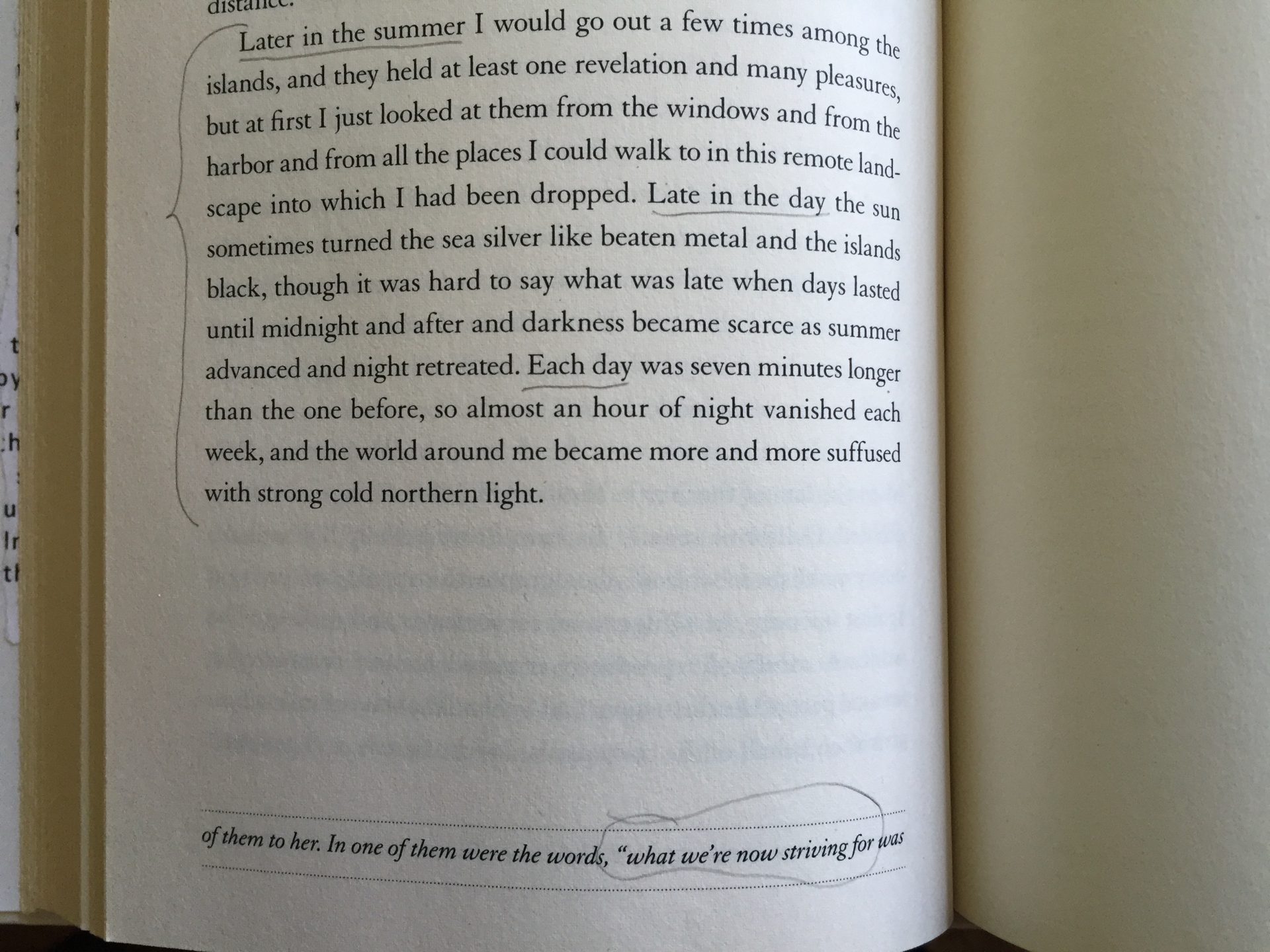 Rebecca Solnit, The Faraway Nearby, excerpt from page 160