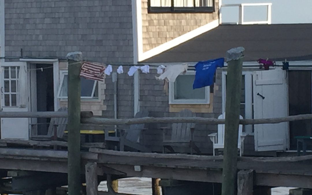 clotheslines: 186/365