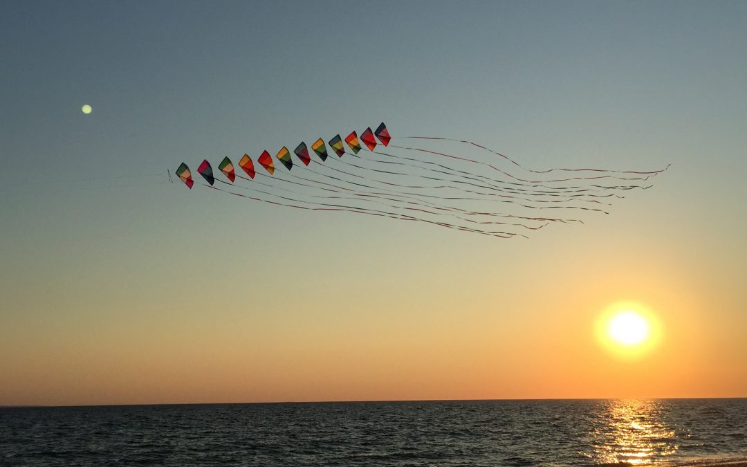 flying colors: 214/365