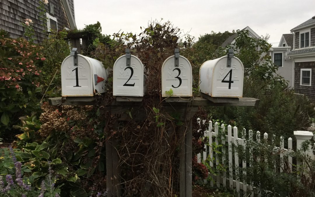 four things: 319/365