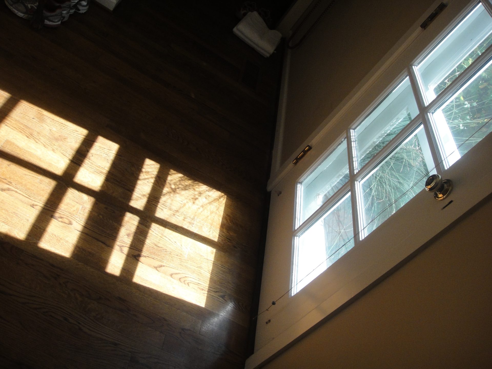 between here & gone: 349/365