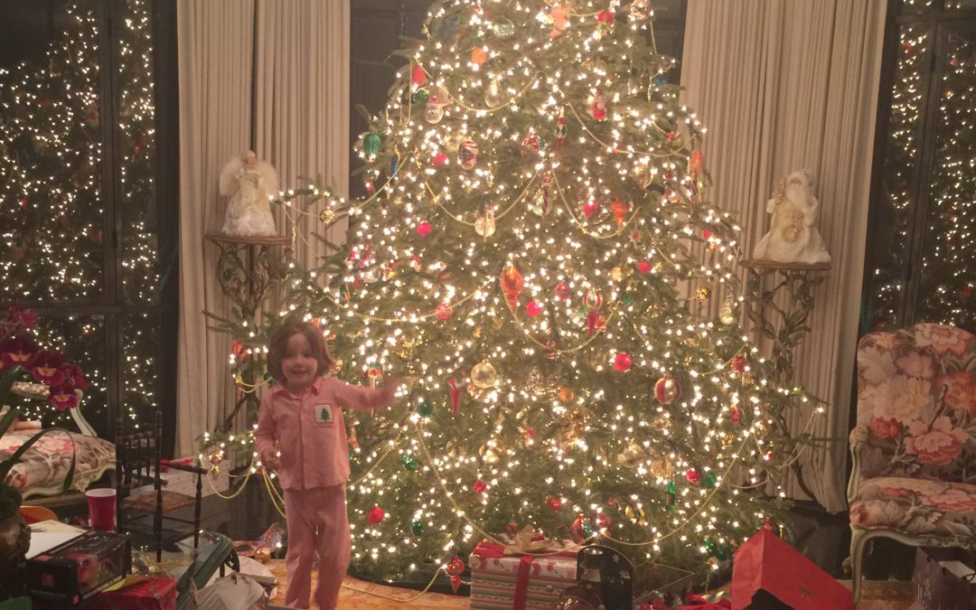 christmas 2015: 347/365