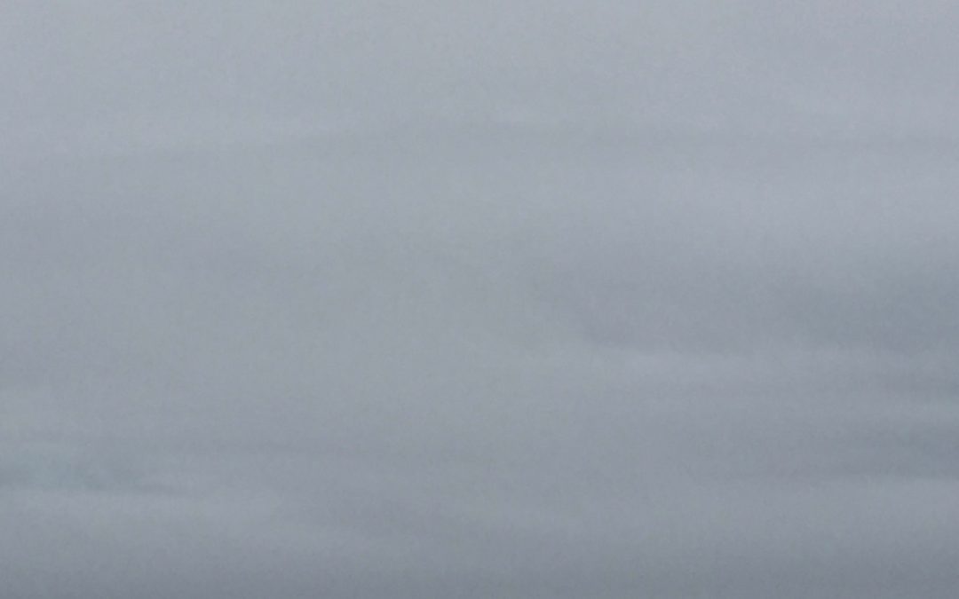 wild gray yonder: 363/365