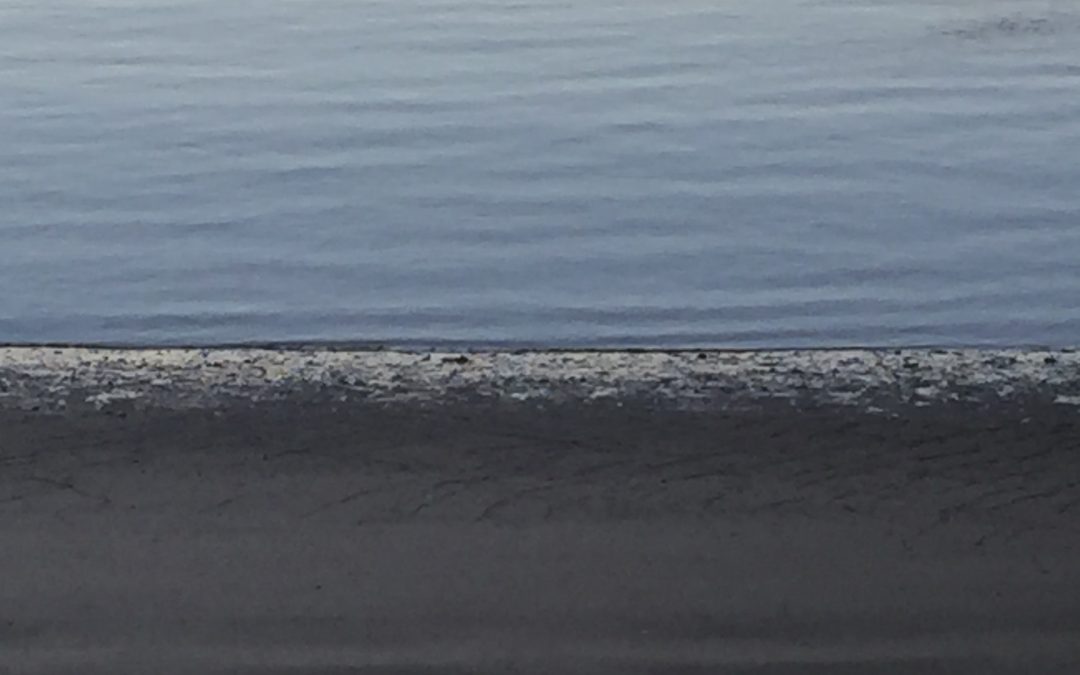 tides: 364/365