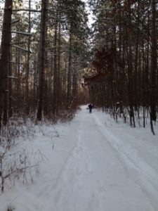 IMG_0643
