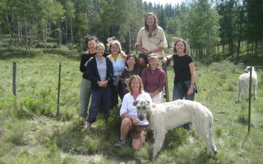 2007: I turn 50