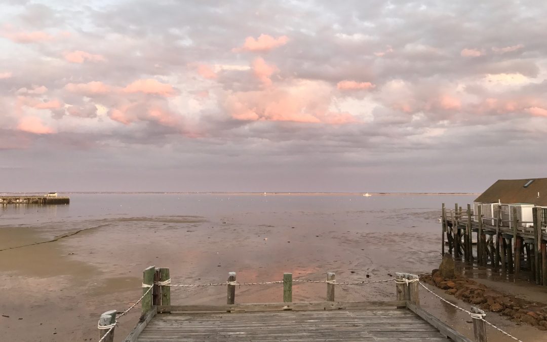 postcard from provincetown / may
