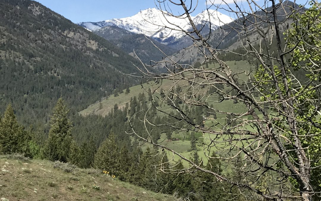 postcard from methow