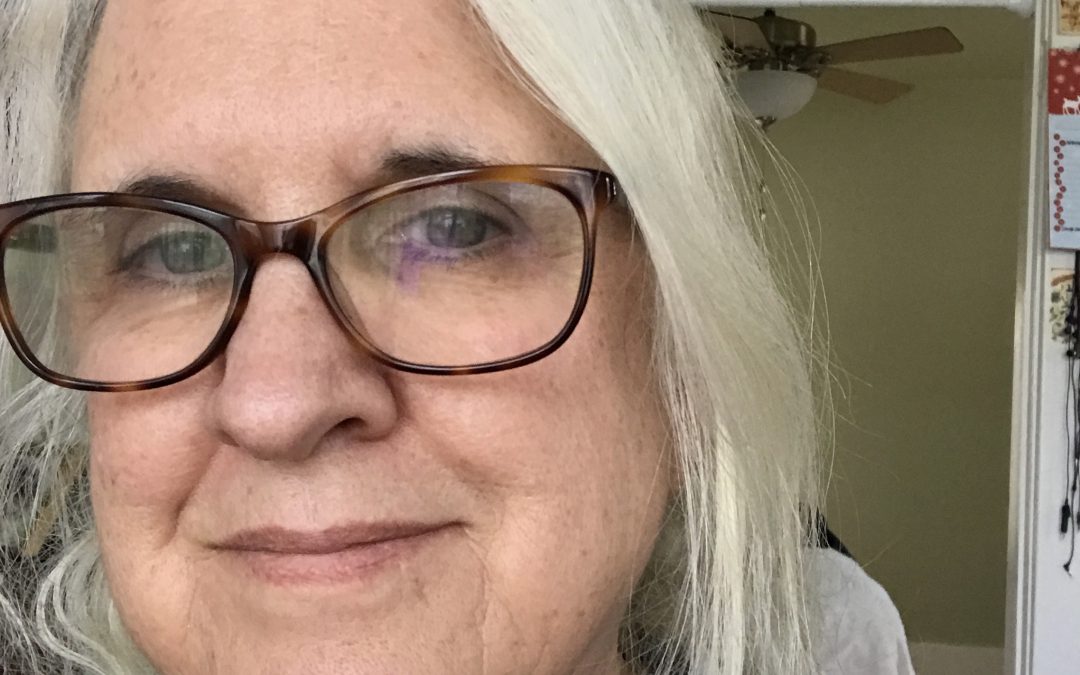 how we spend our days: alice elliott dark