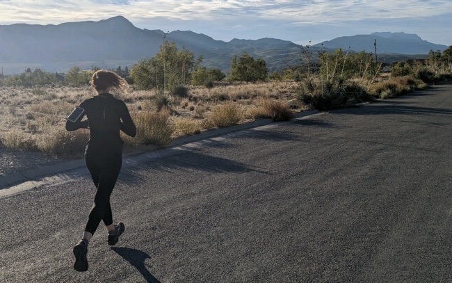 how we spend our days: sara lippmann